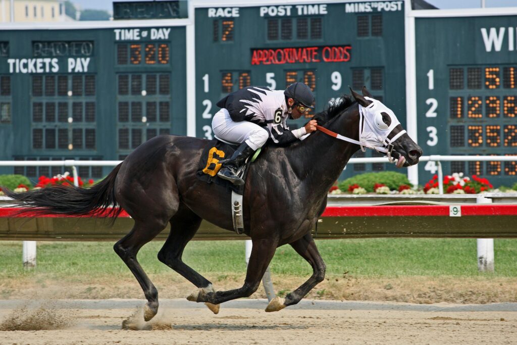 A Man Riding a Horse